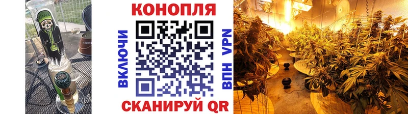 блэк спрут ссылки  Унеча  Канабис индика 